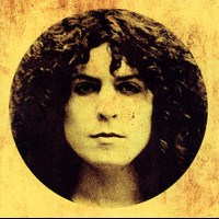 The Woodland Bop_T. Rex