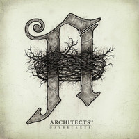 Even If You Win Youre Still A Rat_Architects