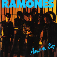 Somebody Put Something In My Drink_Ramones