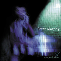 Strange Kind Of Love_Peter Murphy