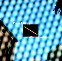 Please Forgive Me_David Gray