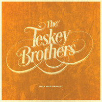 Crying Shame_The Teskey Brothers
