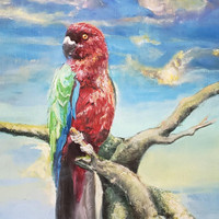 Sometimes_Alex G ((Sandy) Alex G)