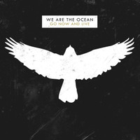 What It Feels Like_We Are The Ocean