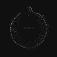 A Sign Of Things To Come_Sylosis