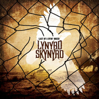 Good Teacher_Lynyrd Skynyrd