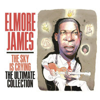 The Sun Is Shining_Elmore James