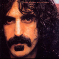 Dont Eat The Yellow Snow_Frank Zappa