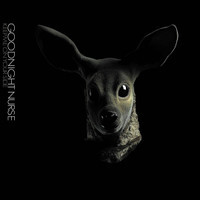 The Night_Goodnight Nurse