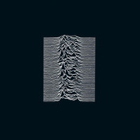 Candidate_Joy Division