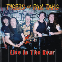 Rocknroll Man_Tygers of Pan Tang