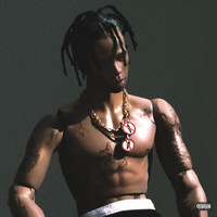 90210_Travis Scott