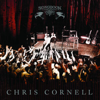 Black Hole Sun_Chris Cornell