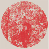 E Is For Estranged_Owen Pallett