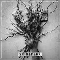 The Beauty Of Suffering_Spiritbox