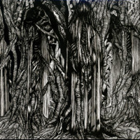 It Took The Night To Believe_Sunn O)))