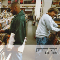 Organ Donor_DJ Shadow