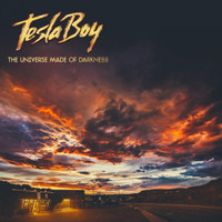 Fantasy_Tesla Boy