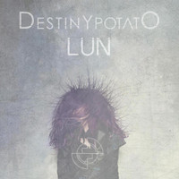 Addict_Destiny Potato