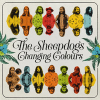 Saturday Night_The Sheepdogs
