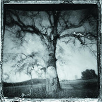 Independence Day_No Motiv