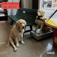 Warned You_Good Morning