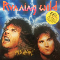 Wild Animal_Running Wild