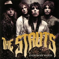 Could Have Been Me_The Struts
