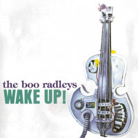 Find The Answer Within_The Boo Radleys