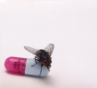 The Adventures Of Rain Dance Maggie_Red Hot Chili Peppers