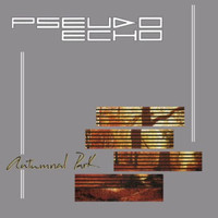 A Beat For You_Pseudo Echo