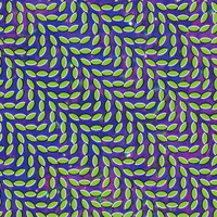 My Girls_Animal Collective