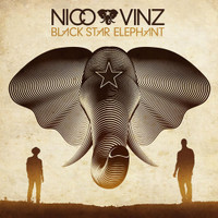 Am I Wrong_Nico & Vinz