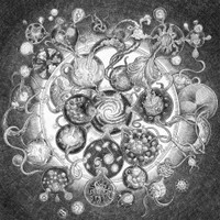 Into The Black Wide Open_Long Distance Calling