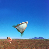 Animal Instinct_The Cranberries