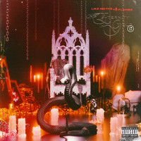 Fluorescent White_Like Moths To Flames