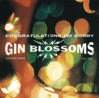 Follow You Down_Gin Blossoms