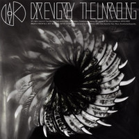 Unraveling_Dir en grey