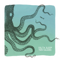 Spy Dolphin_Delta Sleep